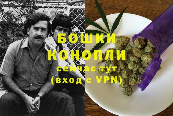 молекула духа Балабаново